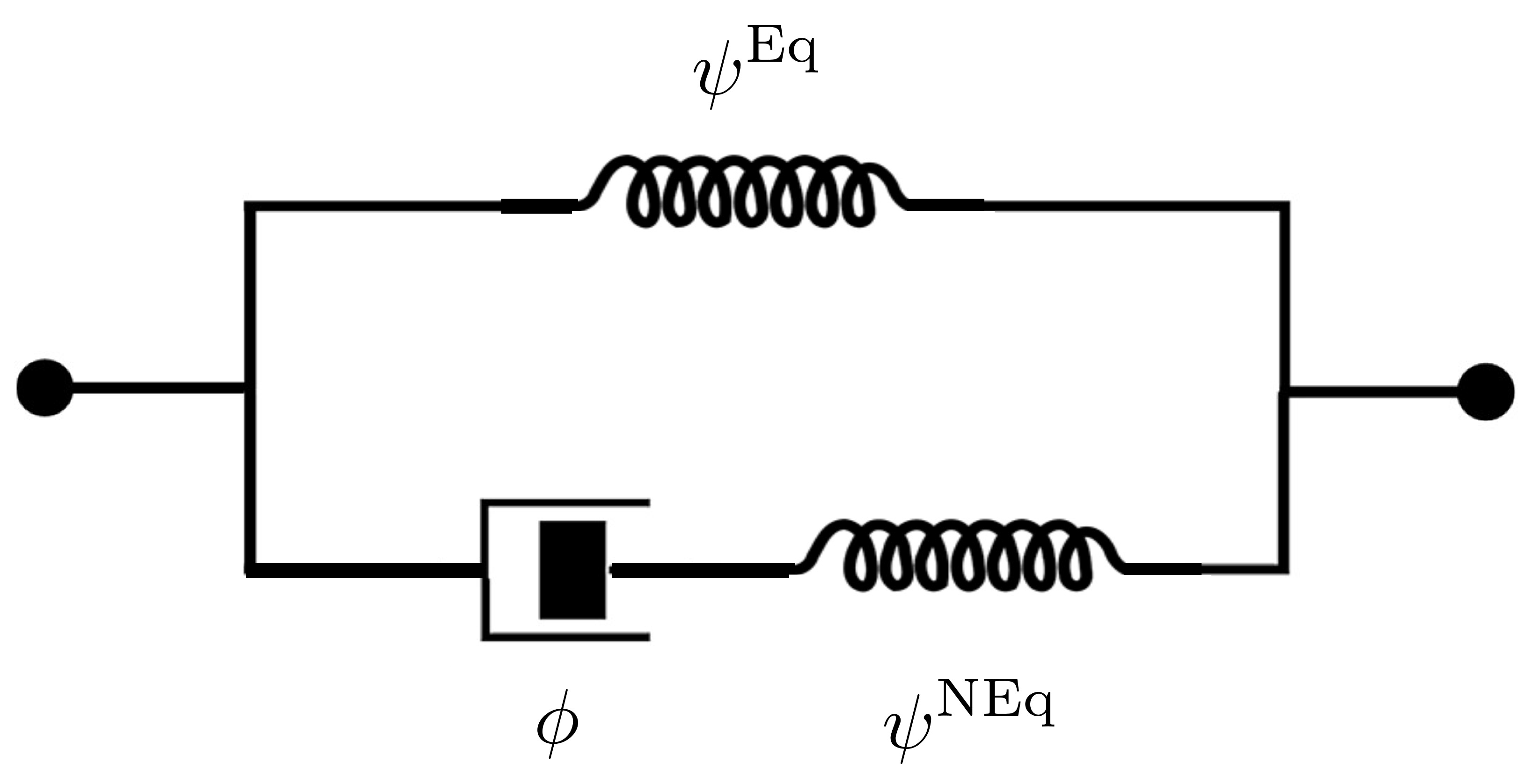 rhelogical model